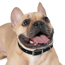 Load image into Gallery viewer, Black LOGO Dog Collar