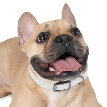 Load image into Gallery viewer, White LOGO Dog Collar