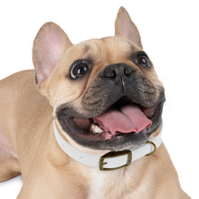 Load image into Gallery viewer, White LOGO Dog Collar