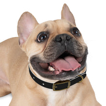 Load image into Gallery viewer, Black LOGO Dog Collar